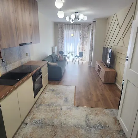 公寓 New 1-bdrm In Beautiful 克拉科夫